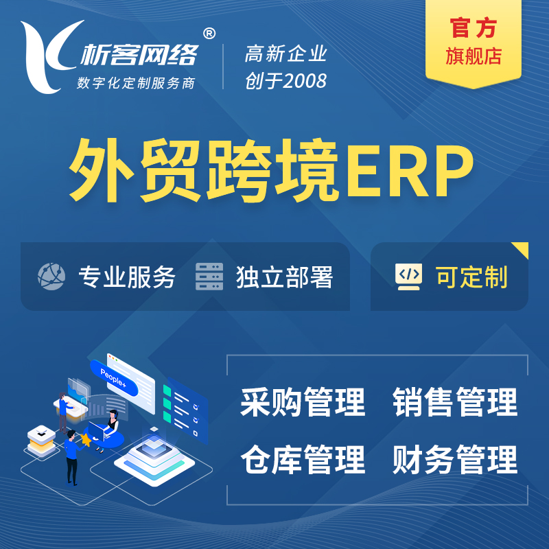 新竹外贸跨境ERP软件生产海外仓ERP管理系统